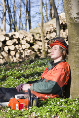 Mittagsruhe im Wald