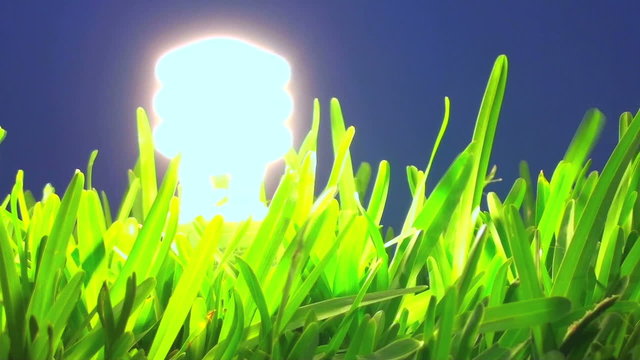 Energy saving light bulb in grass blue background V1 - HD