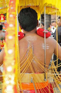 Thaipusam Indian festivel