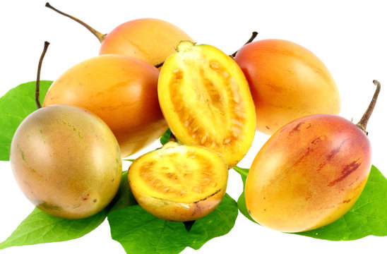 tomates arbustes, tomates exotiques tropicales, fond blanc
