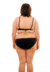 Fat woman (rear view)