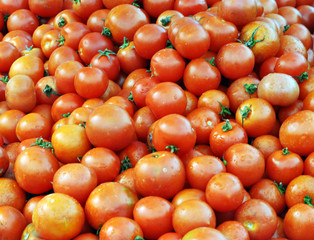 Tomaten