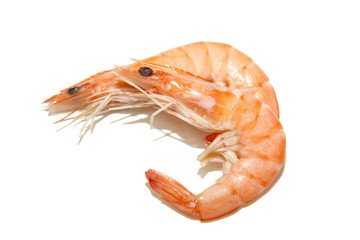 crevettes
