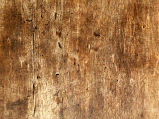 Antikholz