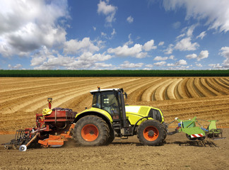 Obraz premium Agriculture