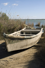 Ruderboot am Ebrodelta