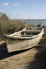 Obraz premium Ruderboot am Ebrodelta