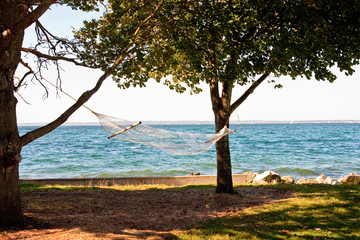 A hammock on a sunny beach