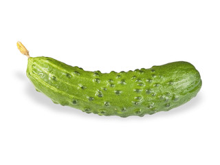 Green cucumber