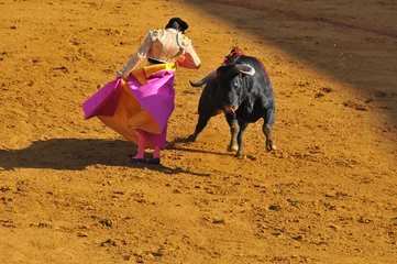 Foto op Plexiglas Stierenvechten Torero en stier, met de cape twirling