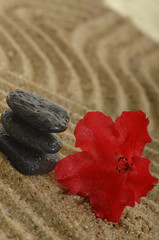 Steine Hot Stones mit Azalee auf Sand