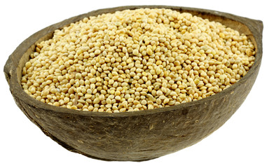 graines de millet dans une noix de coco, fond blanc