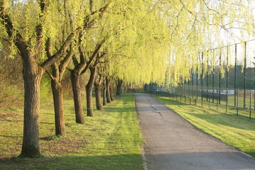 Alleyway