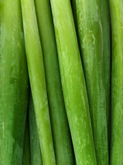 Fototapeta premium Vegetables onions