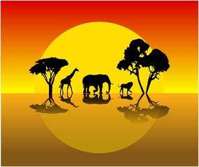 Savanne Afrika