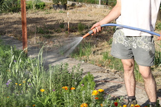 jardinage et entretien