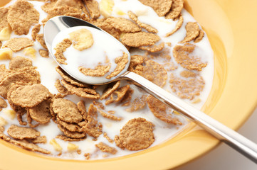 Breakfast cereal with milk