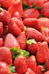 Erdbeeren