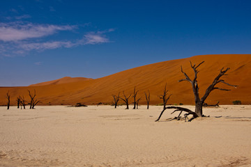 dead vlei namibia