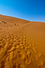 tracks in the desert