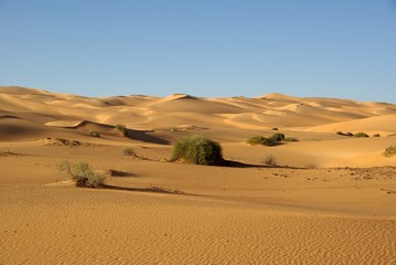 Fototapeta na wymiar Mer de sable, Libye