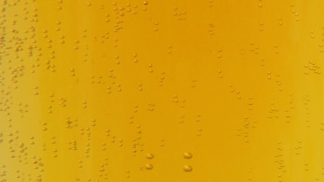 Sprudelndes Bier im Bierglas Video