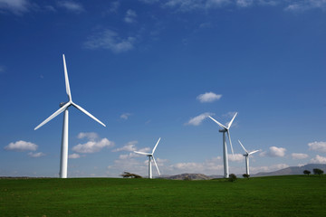 Fototapeta premium Wind turbines on a hillside