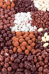 Chocolate covered nuts and fruit