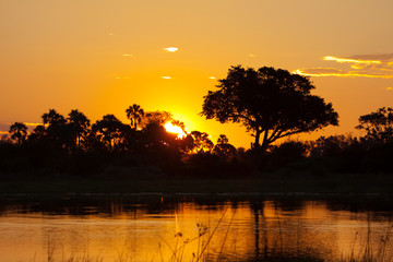 Sonnenuntergang im Okavango Delta - Sunset at Okavango Delta