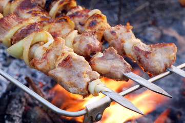 shish kebab on skewers and hot coals
