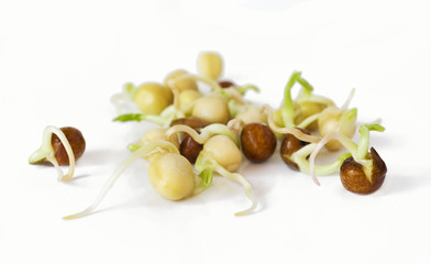 Different peas are growing.