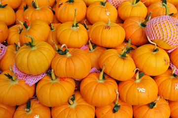 golden pumpkin fruit