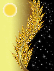 Wheat day and night