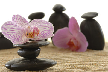 Obraz na płótnie Canvas Kamienie Gorące kamienie z kwiatów orchidei na piasku