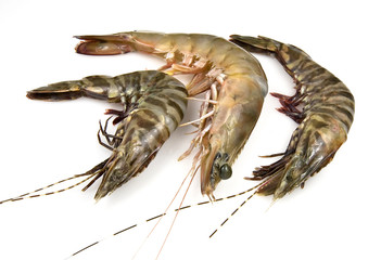 Raw tiger and banana prawns on a white background