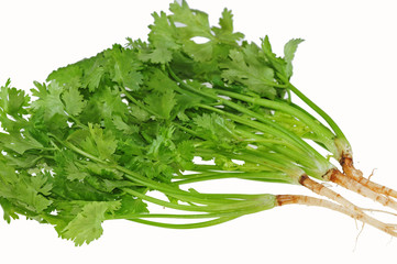 celery vegetable