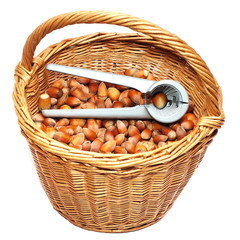 basket of nuts