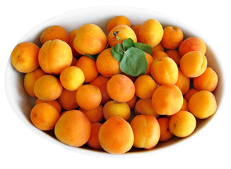 Apricots on white tray.