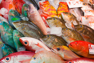 Colorful fresh tropical fish in the market, Okinawa, Japan - 22324653