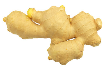 Ginger root isolated on white