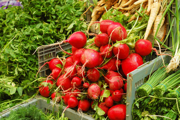 close up of vegetables on market stand