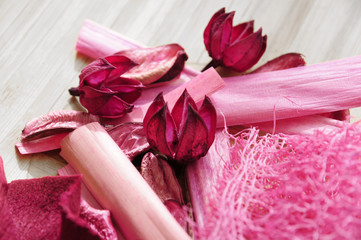 Senteurs végétales