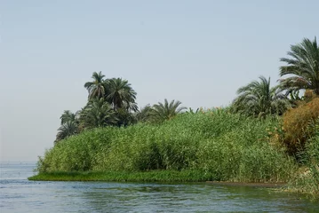 Foto auf Leinwand Egypte-Le Nil © tomsturm