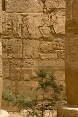 Egypte-Karnak
