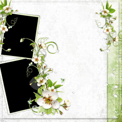 spring frame with apple tree flowers
