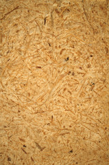 Natural Texture of Egyptian Papyrus