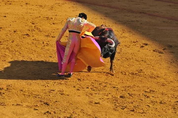 Zelfklevend Fotobehang Stierenvechten Ras