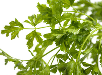 Parsley