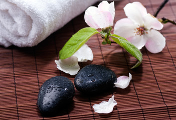 Pumice stone and flower of a bamboo background