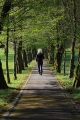 Obraz premium avenue planted with trees on spring with running girl